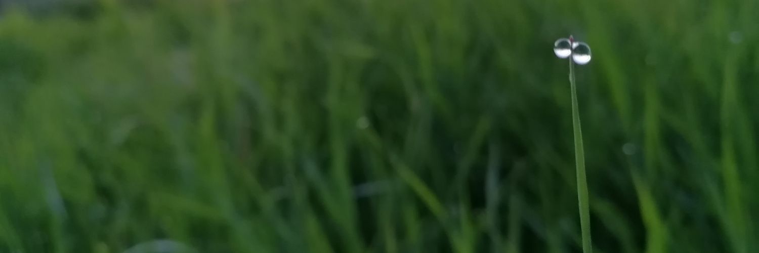 paxitet's profile banner image