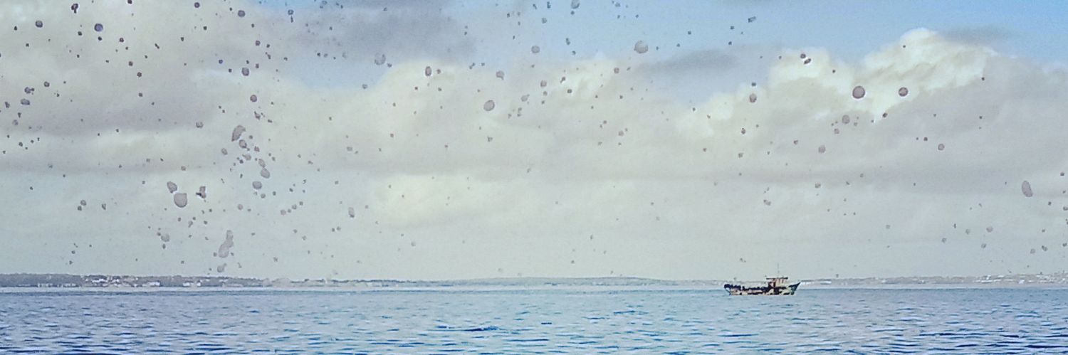 Shane. Edge of west banner