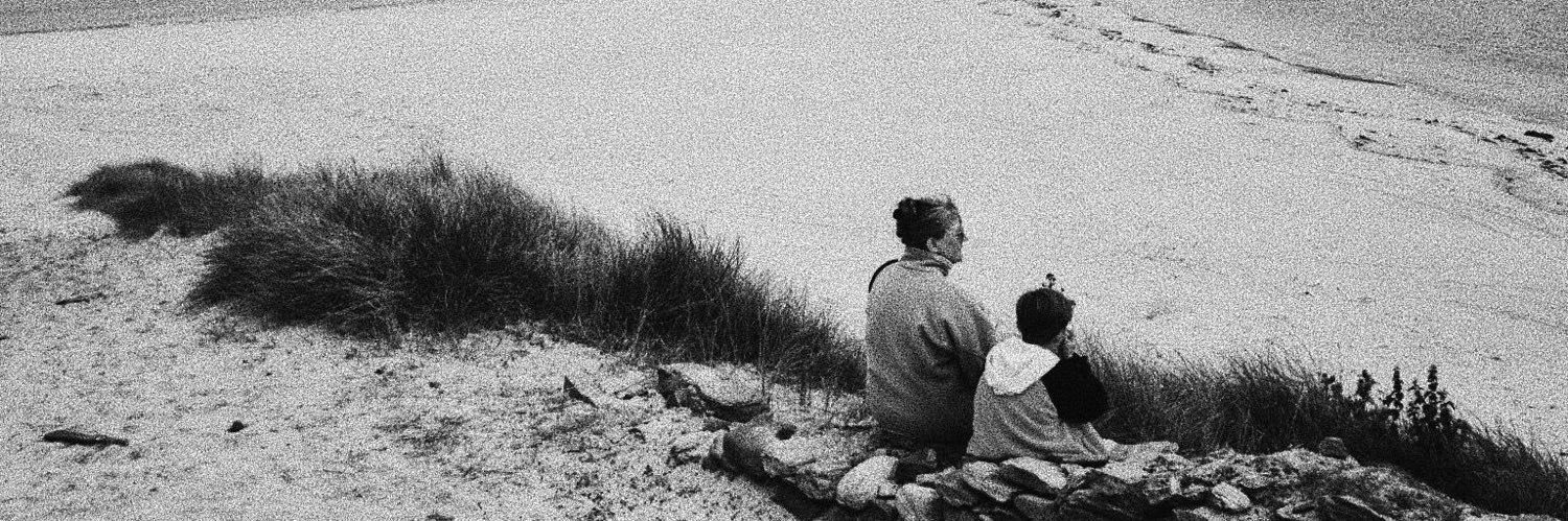 Mark Valentine Holley banner