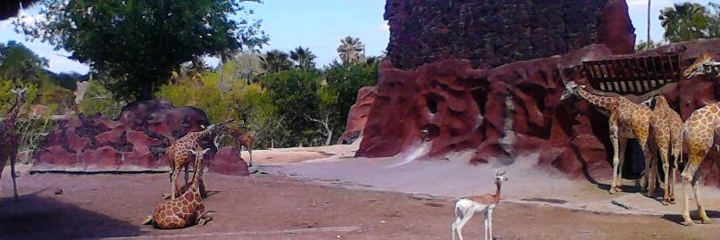 Ruben Vasquez Jr. banner