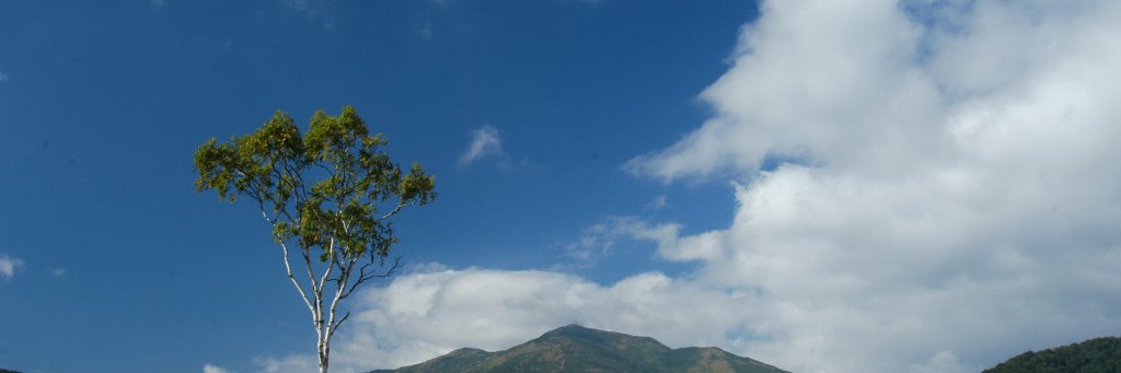 twofinalmax's profile banner image