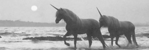 deer_friend's profile banner image