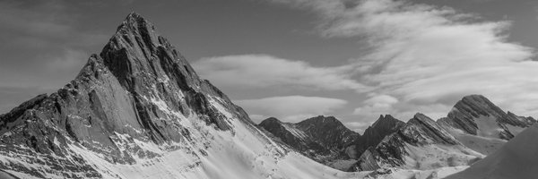 BCKOR Profile Banner