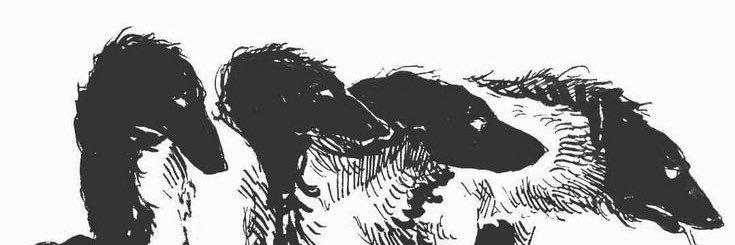 iodo1302's profile banner image