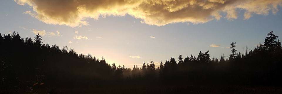 sam_marie1985's profile banner image