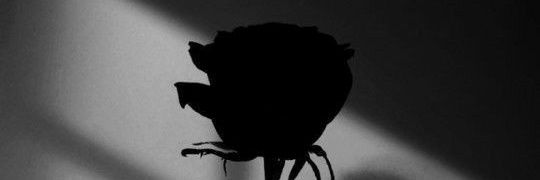 potretnms's profile banner image