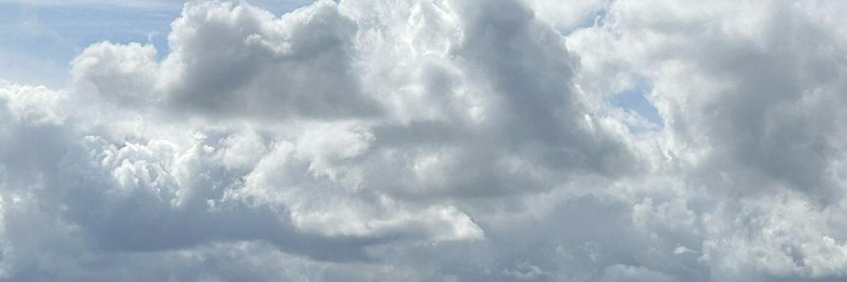 Andrew Davison banner