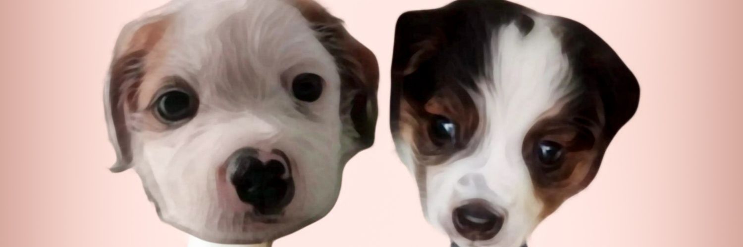 𝕶𝖊𝖘𝖍 banner