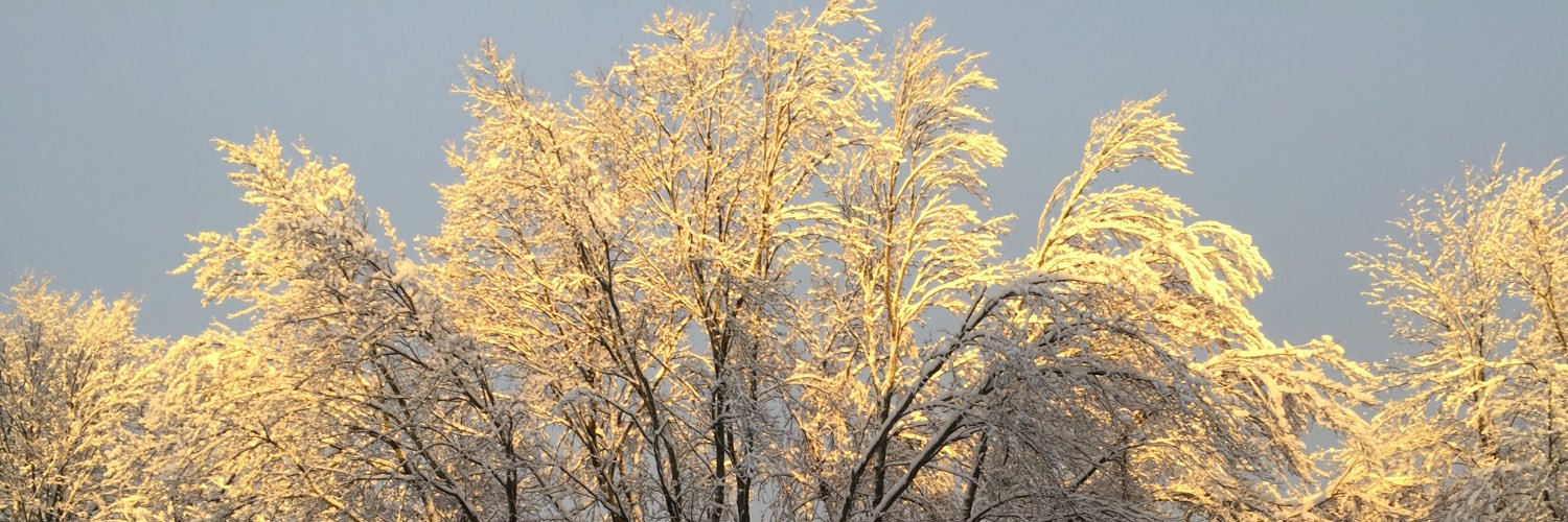 JakeMA55's profile banner image