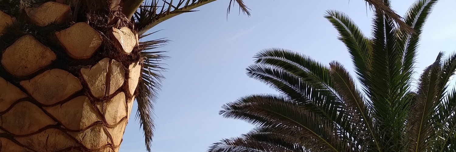 darkibiri's profile banner image