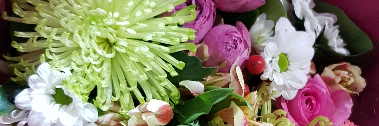 Michelle Rayner banner