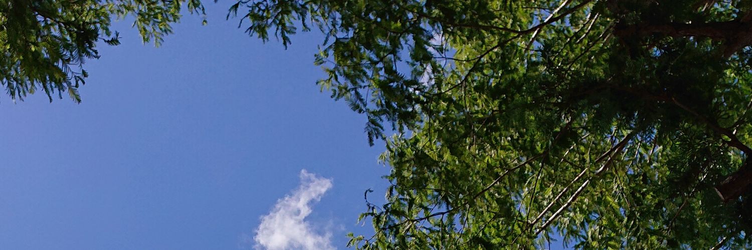 michiya_hane's profile banner image