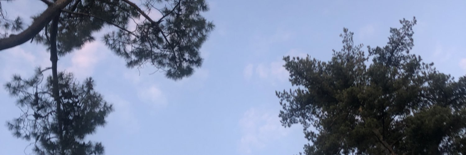 adeeeledvl's profile banner image