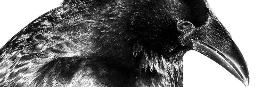LeighMurray75's profile banner image