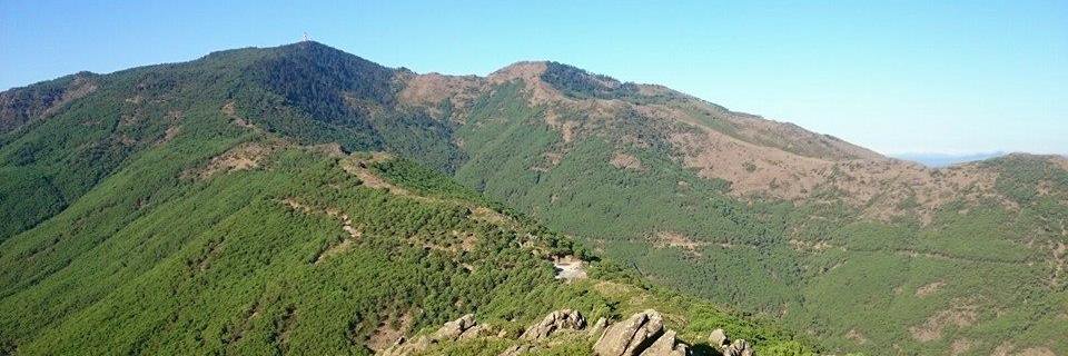 TrailRNovato's profile banner image