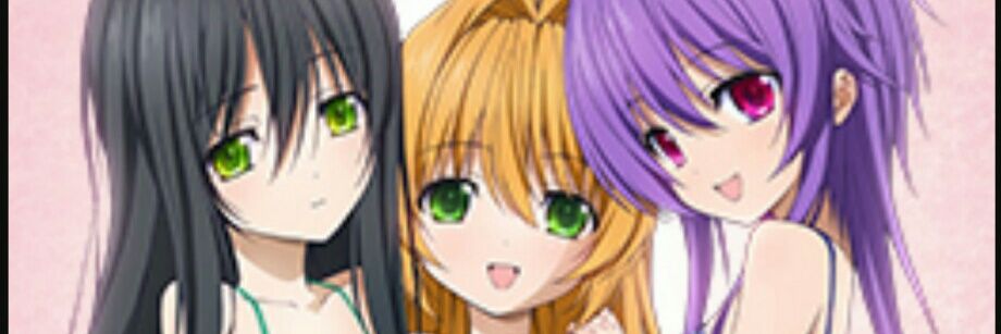 D31044923's profile banner image