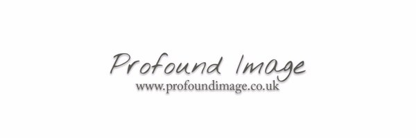 profound_image Profile Banner