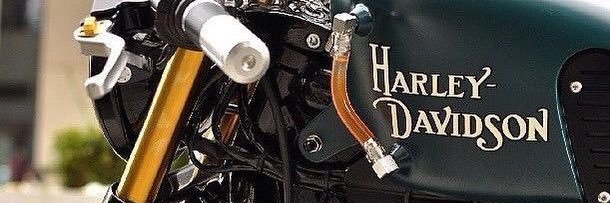 Adder & Oak banner