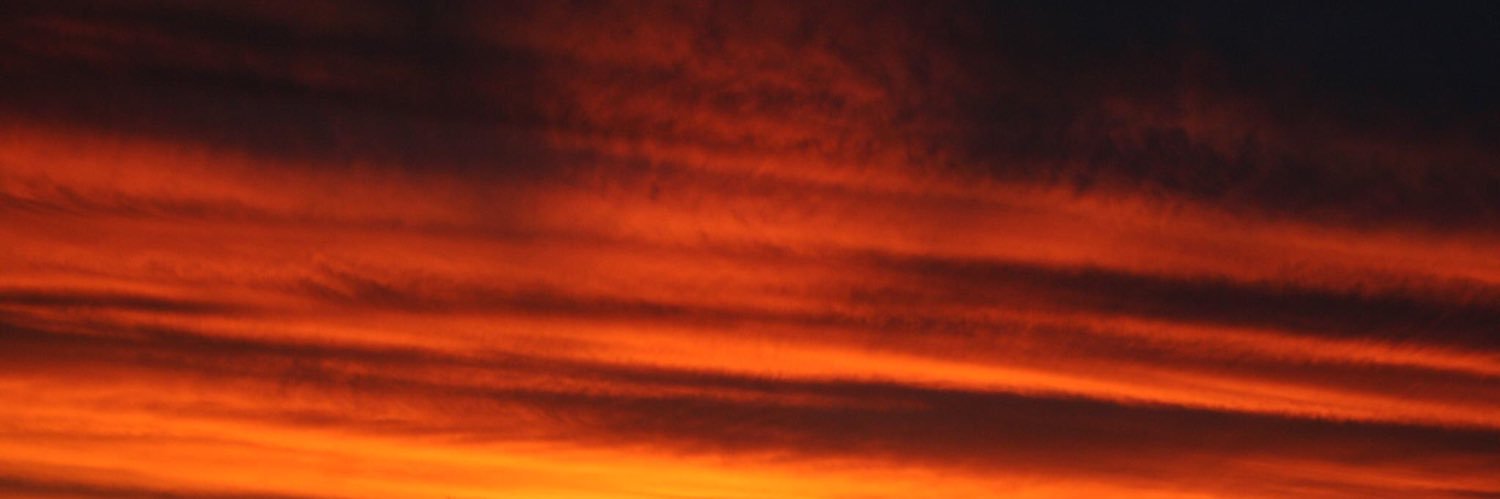 LadyLynnMaree's profile banner image