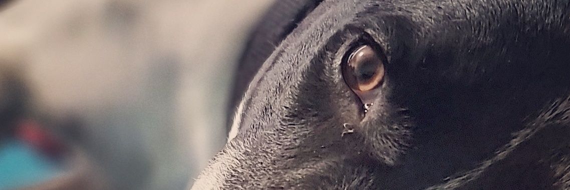 nettybgoode's profile banner image