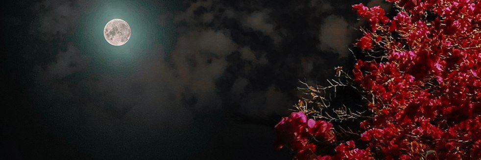 AFRoOo3's profile banner image