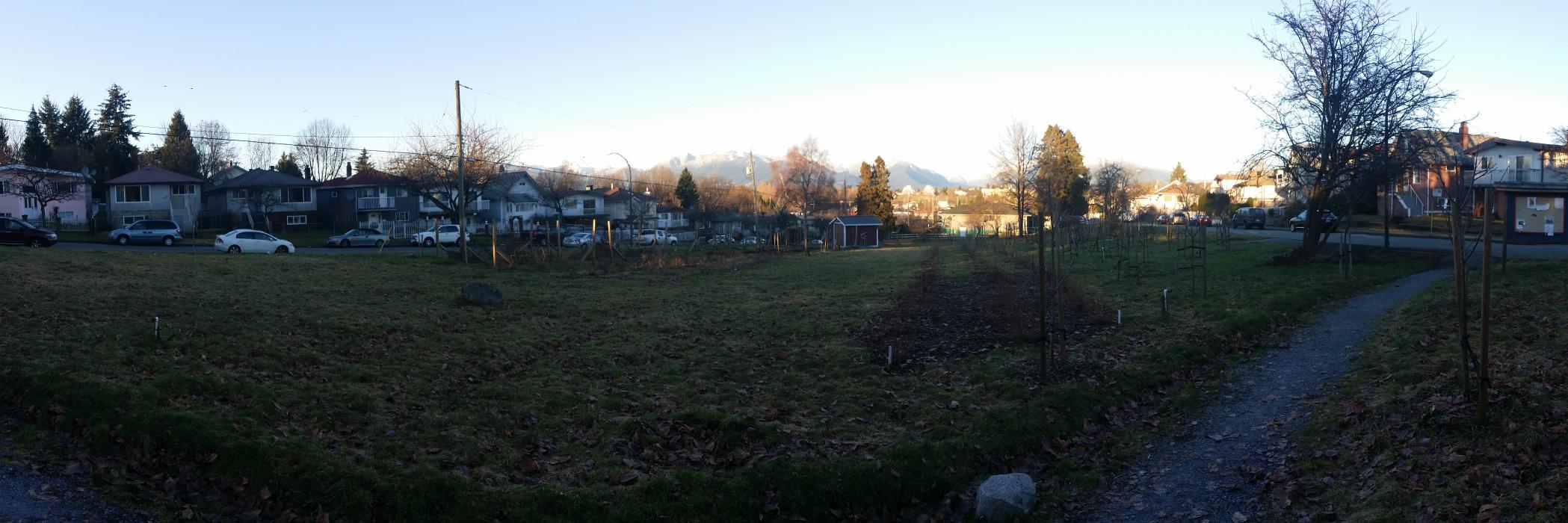 Copley_Orchard's profile banner image