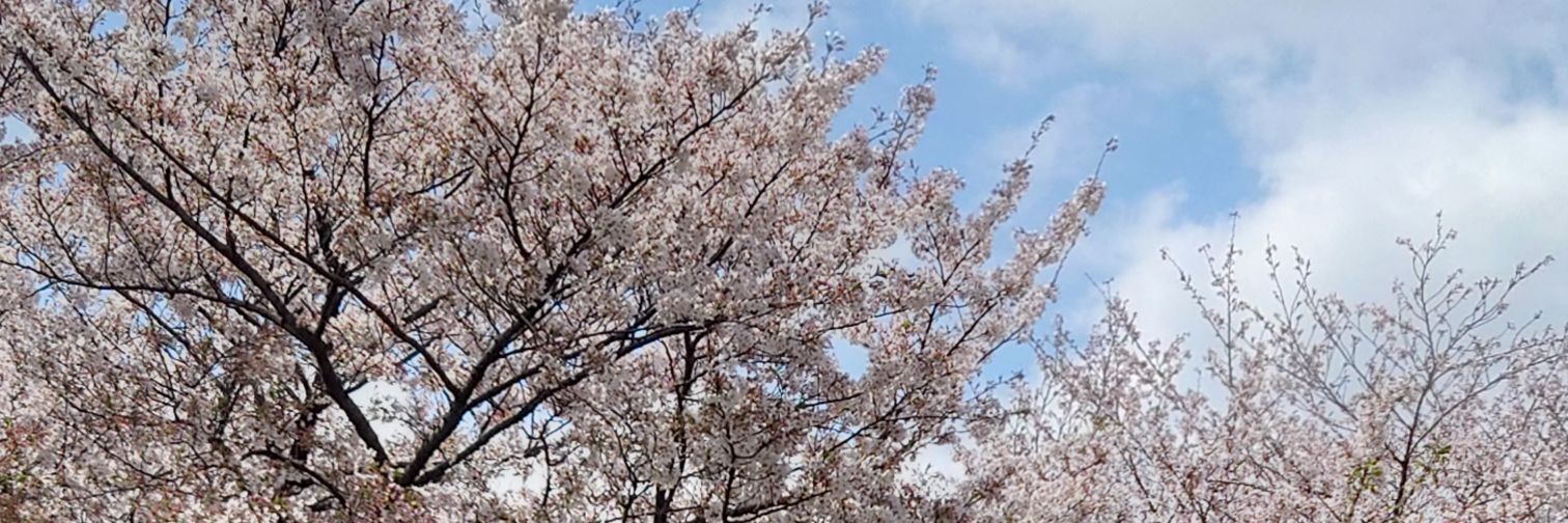 dezie68's profile banner image