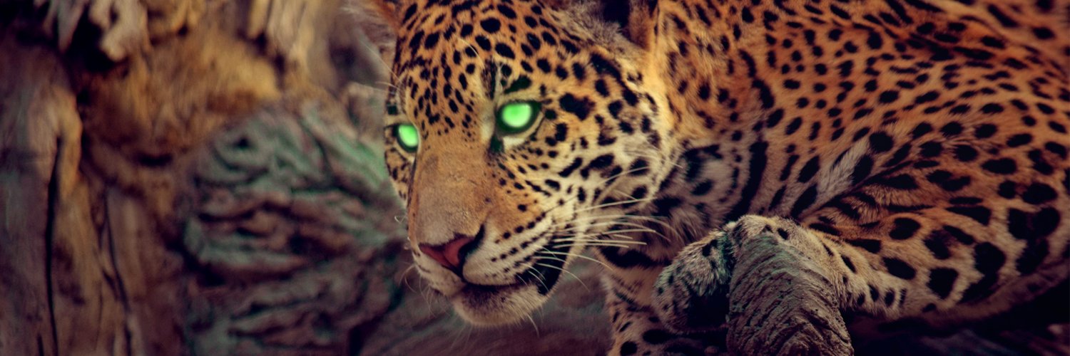 ShaheedFarid's profile banner image
