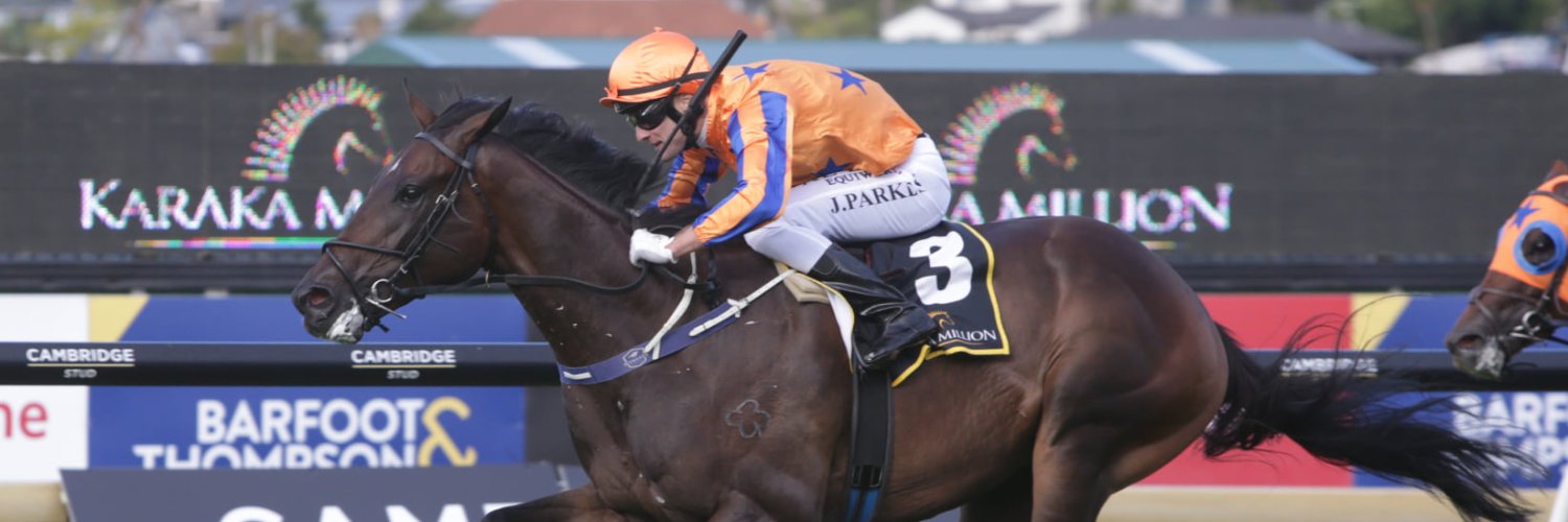 Te Akau Racing banner
