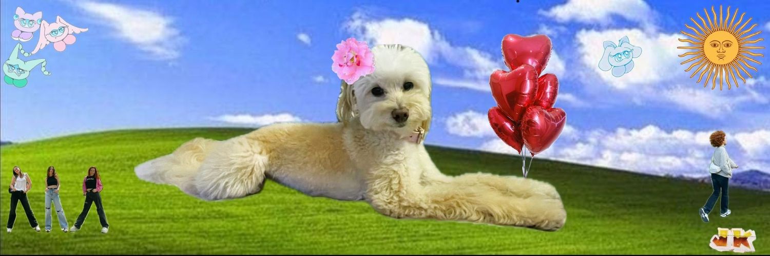 conib26's profile banner image