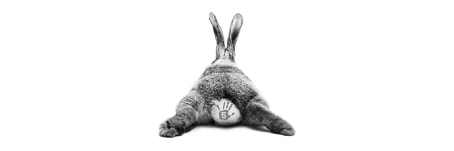 FuzzyBunnyComic's profile banner image