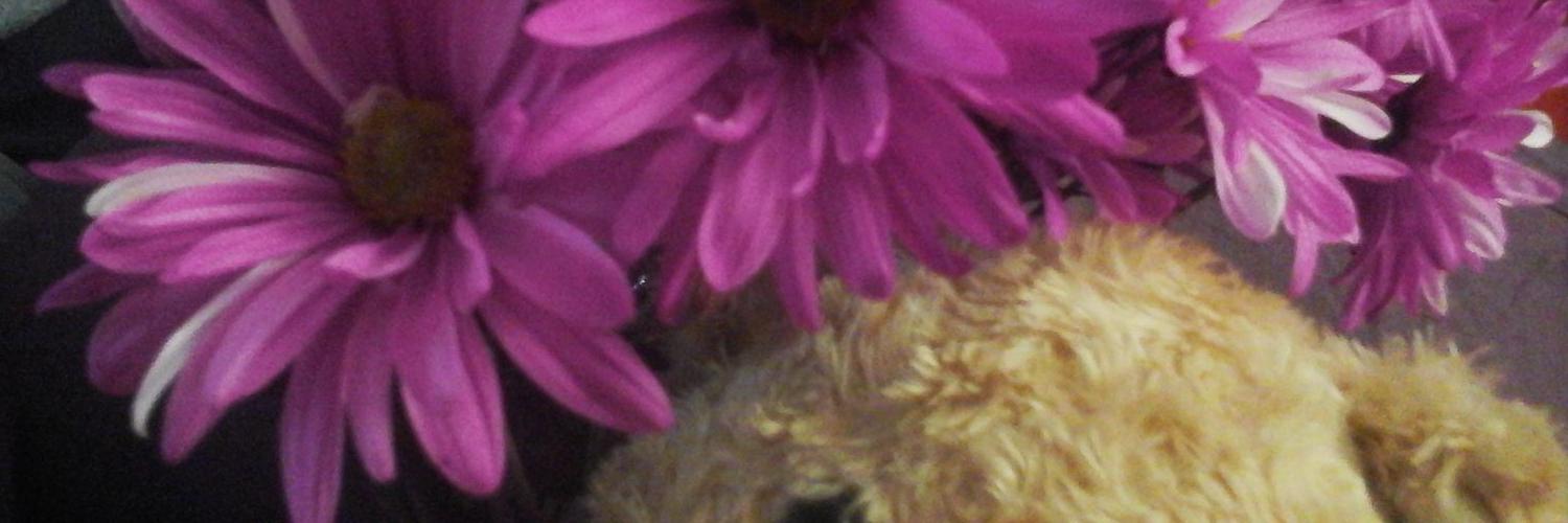 ChronicSyk's profile banner image
