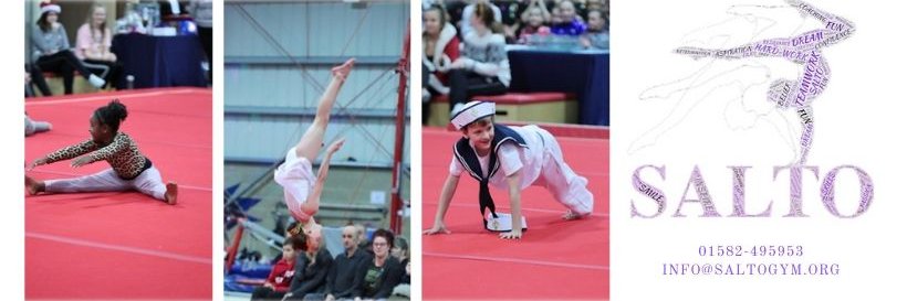 SALTOGymClub,Luton banner