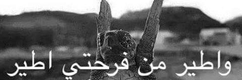 Rusul_Mukdad's profile banner image