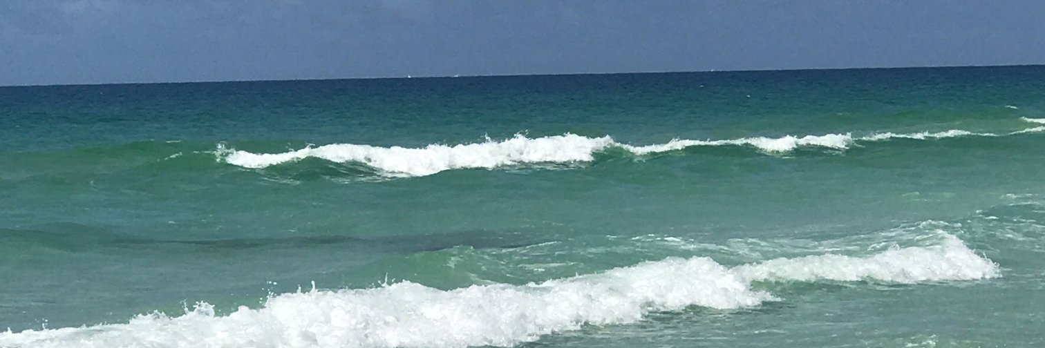 TeacherRoeder's profile banner image