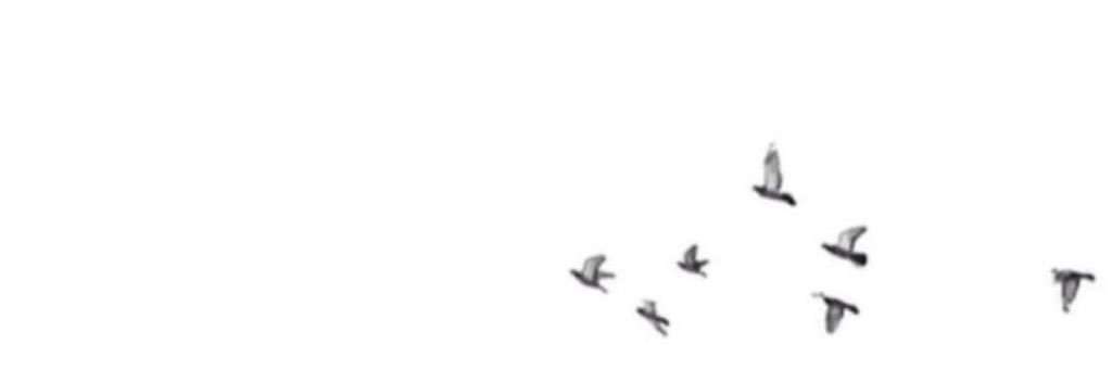 ii_ma88's profile banner image