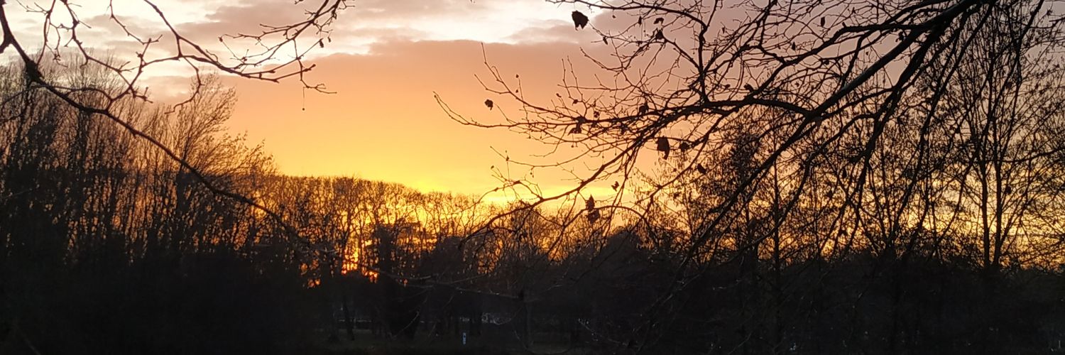 mayaleonrusso's profile banner image