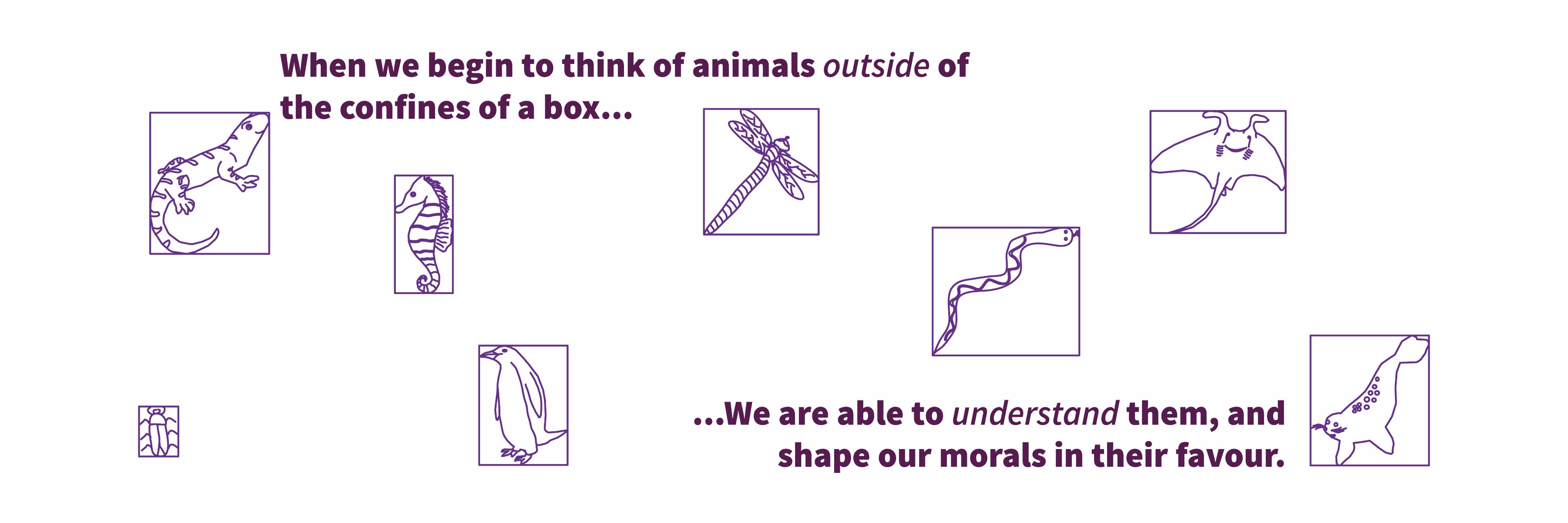 animorals's profile banner image