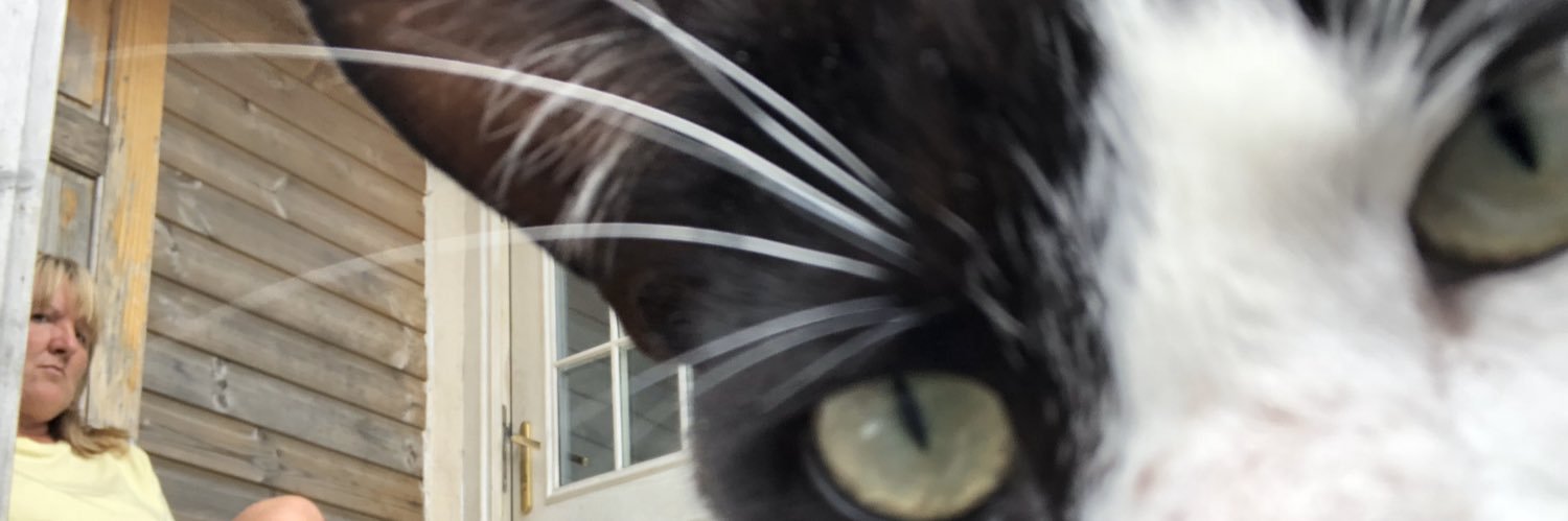 shaunathw8's profile banner image