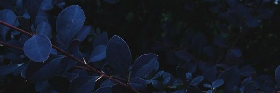 soror_c's profile banner image