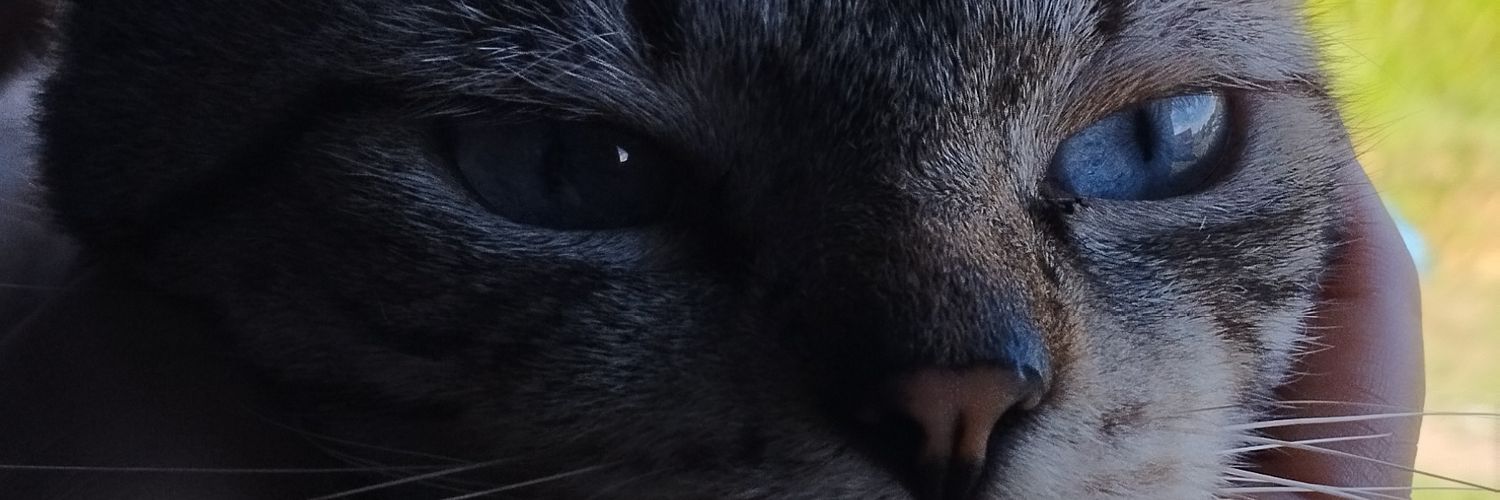 aalvesx00's profile banner image