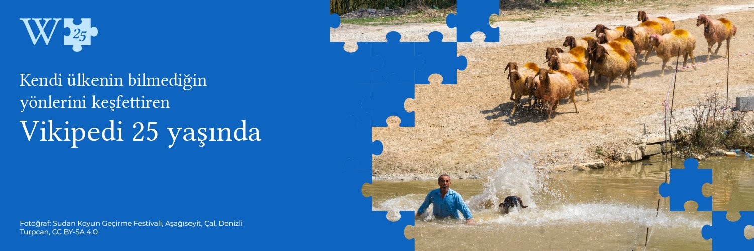 Wikimedia Türkiye banner