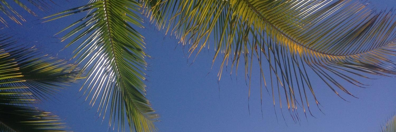 Gemma banner