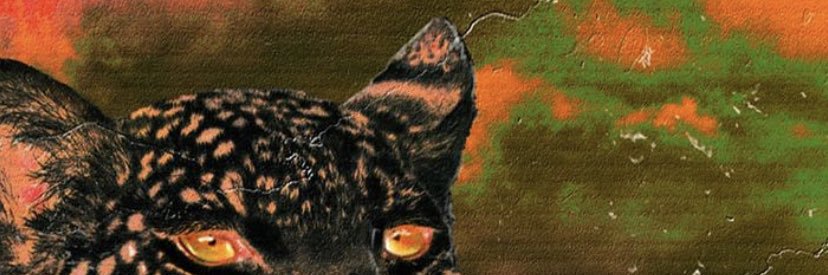 rareshox's profile banner image