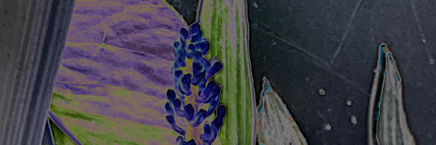 @clafrisa 🟧 @clafrisa.bsky.social banner