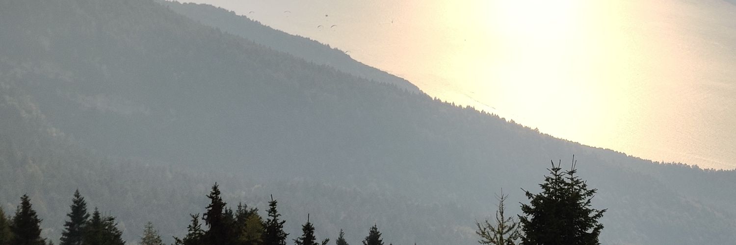 Mad_Lii's profile banner image