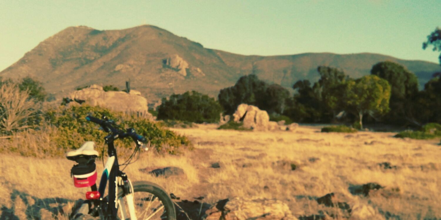thomasasoto1's profile banner image