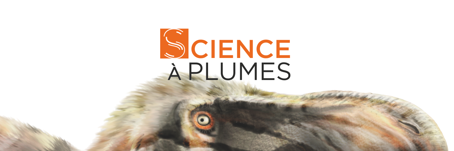 Science à plumes banner