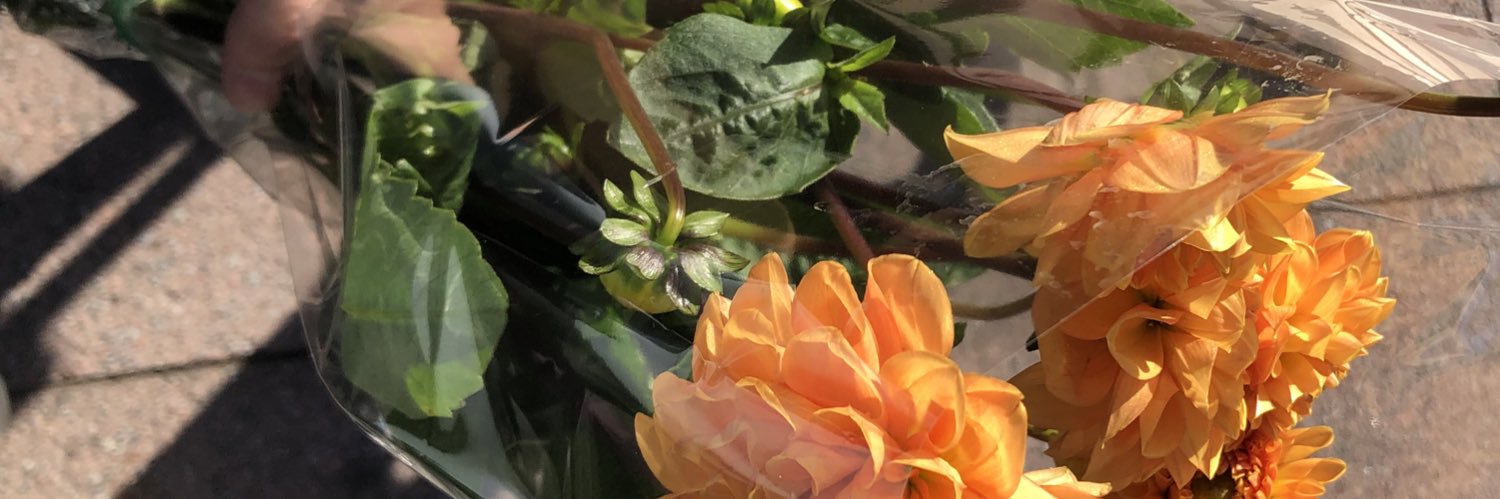 lu_illd's profile banner image