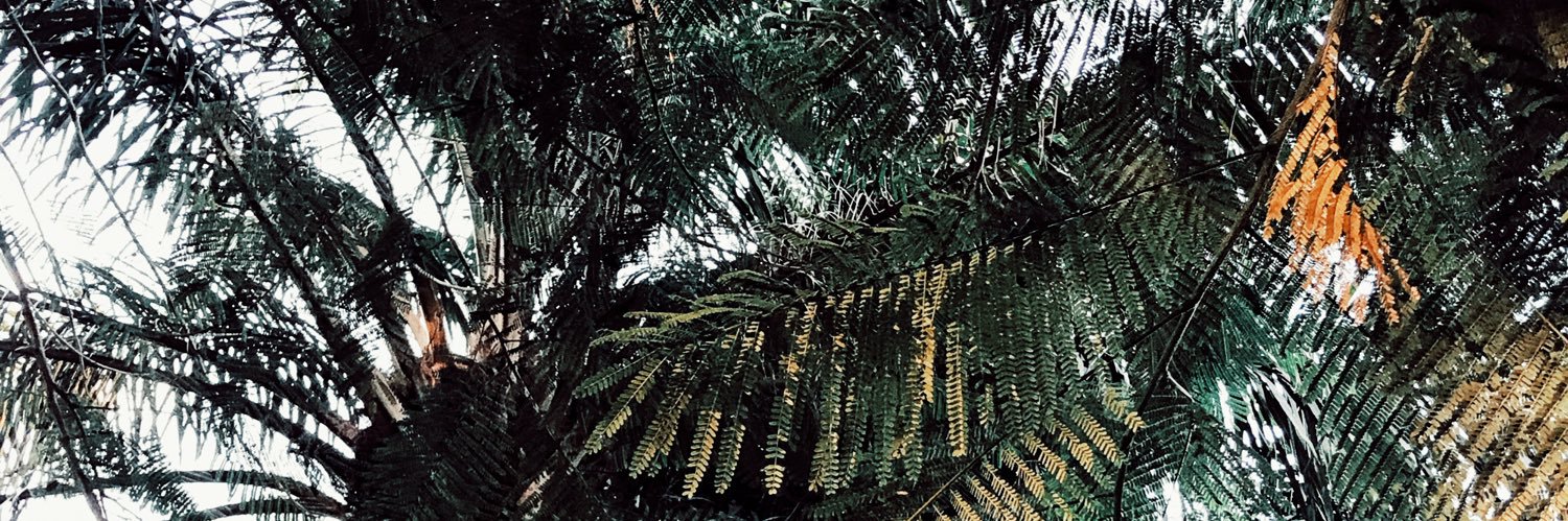 sarinhia's profile banner image